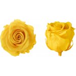 Hlavy růží - princess 16 ks Yellow - žlutá – Hledejceny.cz