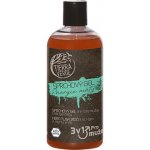 Tierra Verde sprchový gel pro muže Energie máty 500 ml – Hledejceny.cz