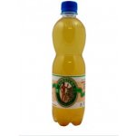 Stevikon kombucha hloh 0,5 l – Zboží Dáma