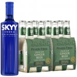 Skyy Vodka 40% 0,7 l a Fever-Tree Ginger Beer 8 x 0,2 l (set) – Hledejceny.cz