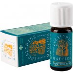 Vivasan 100% éterický olej Eukalyptus 80/85 Madeira 10 ml – Hledejceny.cz