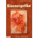 Bioenergetika