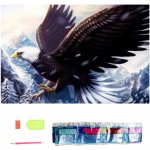 Norimpex Diamantové malování Orel 30 x 40 cm – Sleviste.cz