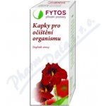 Fytos Kapky pro očištění organismu 50 ml – Hledejceny.cz