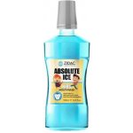 Zidac Absolute Ice Kids 500 ml – Zboží Dáma