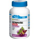 BIOVIT NatureVia Ostropestřec LipoAktiv 120 kapslí – Hledejceny.cz