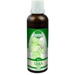 Naděje Líska tinktura z pupenů rostlin 50 ml – Hledejceny.cz