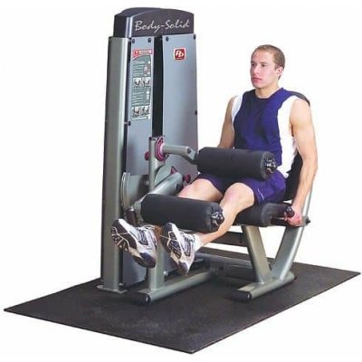 Body Solid Leg Extension a Curl Machine DLEC-SF