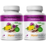 Mycomedica Ostropestřec 2 x 90 kapslí – Hledejceny.cz