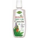 BC Bione Cosmetics Dentamint ústní voda Cannabis 500 ml