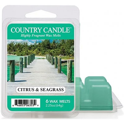 Country Candle vosk do aroma lampy Cilantro Citrus & Seagrass 64 g – Zboží Mobilmania