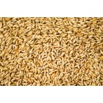 Krmné směsi Kvídera Pade rýže 1 Kg – Zboží Mobilmania