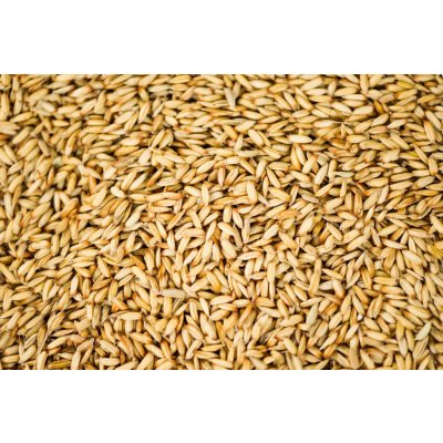 Krmné směsi Kvídera Pade rýže 1 Kg – Zboží Mobilmania