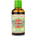 Bylinné kapky Cévy pružnost a pevnost kapky tinktura 50 ml – Hledejceny.cz