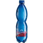 Magnesia perlivá 0,5 l – Hledejceny.cz