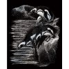 Škrábací  obrázek Royal & Langnickel Škrabací obr. stříbrný Tučňáci