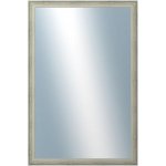 DANTIK DELFINO 40x60 cm stříbrná 2897 – Hledejceny.cz