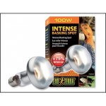 Hagen Exo Terra Intense Basking Spot 100 W – Zboží Dáma