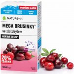 NatureVia Mega Brusinky 60 kapslí 500mg – Hledejceny.cz