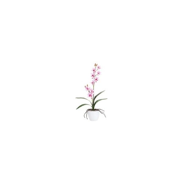 Květina Orchidej 60cm růžová (bez květináče) - Gasper