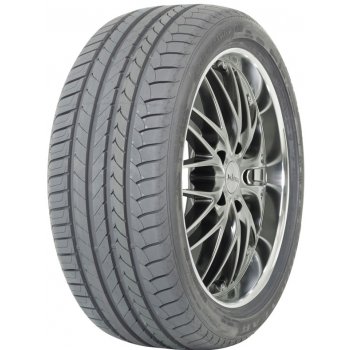 Goodyear EfficientGrip 245/45 R17 95W