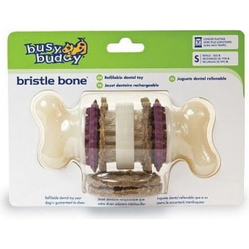 Premier Busy Buddy Bristle Bone S