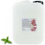 PM Aqualog esence do parních kabin mentol 854-005/D 5 l – Hledejceny.cz