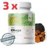 MycoMedica Chaga Čaga VEGAN 3 x 90 kapslí – Hledejceny.cz