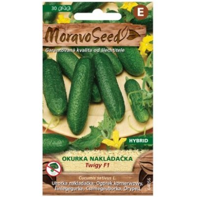 MoravoSeed CZ a.s. MoravoSeed Okurka nakládačka TWIGY F1