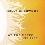 Billy Sherwood - At the Speed of Life Billy Sherwood CD – Hledejceny.cz