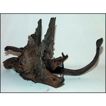 Decor Wood Kořen Driftwood Bulk L 35-55 cm