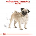 Royal Canin Pug Adult 1,5 kg – Hledejceny.cz