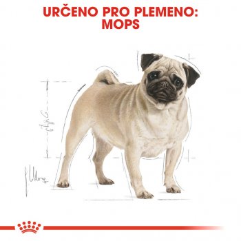 Royal Canin Pug Adult 1,5 kg