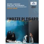 Le Nozze Di Figaro: Thtre Du Chtelet - Gardiner - Olivier Mille DVD – Hledejceny.cz