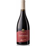 Cantine Due Palme Primitivo di Manduria "San Gaetano" DOP 2023 14% 0,75 l (holá láhev) – Hledejceny.cz