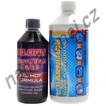 Holma L-Carnitine 110000 1000 ml