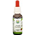 Salvia Paradise Haritaki AF tinktura 50 ml – Sleviste.cz