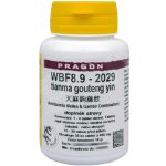 Pragon WBF8.9 - tianma gouteng yin 36 tablet – Hledejceny.cz