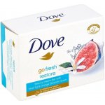 Dove Go Fresh Restore toaletní mýdlo 100 g – Hledejceny.cz