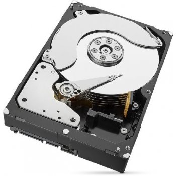 Seagate SkyHawk 8TB, ST8000VX0022