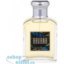 Aramis Havana toaletní voda pánská 100 ml