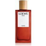 Loewe Solo Cedro toaletní voda pánská 100 ml – Hledejceny.cz