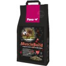 Pavo Muscle Build NEW 3 kg