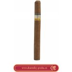 Cohiba Exquisitos 1 ks – Zboží Dáma
