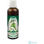 Naděje Kopřiva tinktura z pupenů 50 ml – Hledejceny.cz
