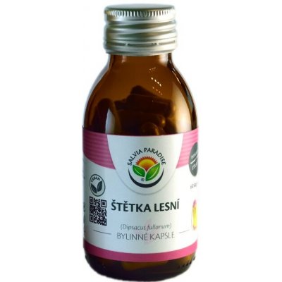 Štětka lesní kapsle 60ks Salvia Paradise – Hledejceny.cz