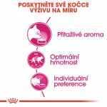 Royal Canin Aroma Exigent 10 kg – Sleviste.cz