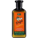 Xpel Ginger šampon proti lupům 400 ml – Zbozi.Blesk.cz