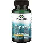 Swanson L-Ornithine L-Ornitin 500 mg 60 rostlinných kapslí – Hledejceny.cz