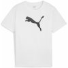 Dětské tričko Puma teamRISE Logo Jersey Cotton Jr 658707-04